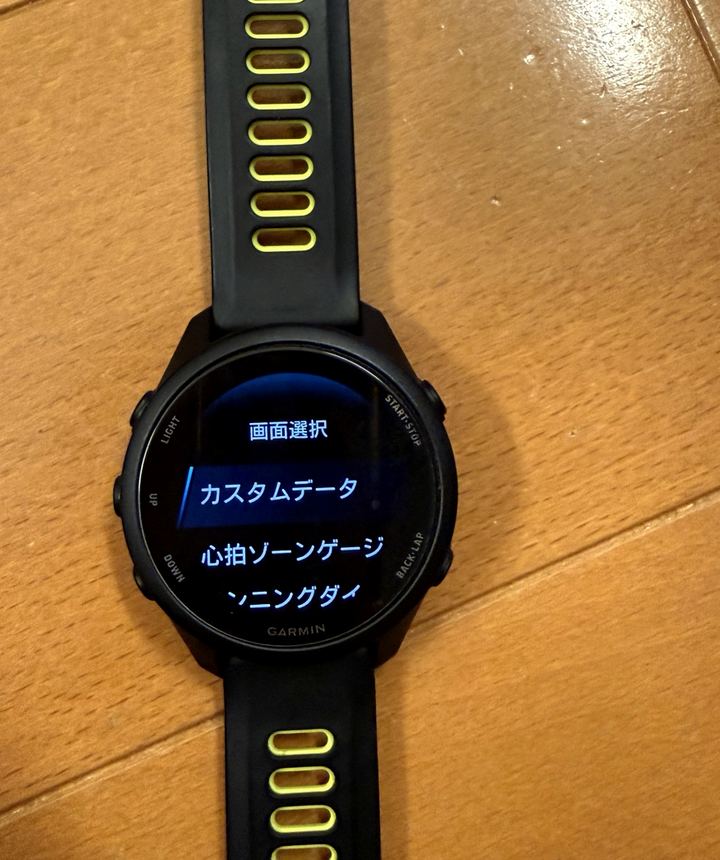 Garminカスタムデータ