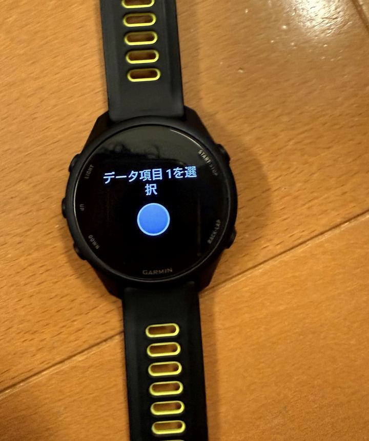 Garminデータ項目選択