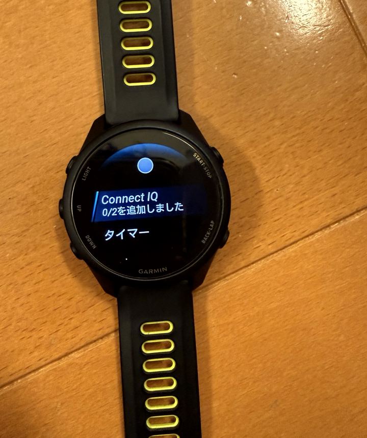 Garmin Connect IQ項目